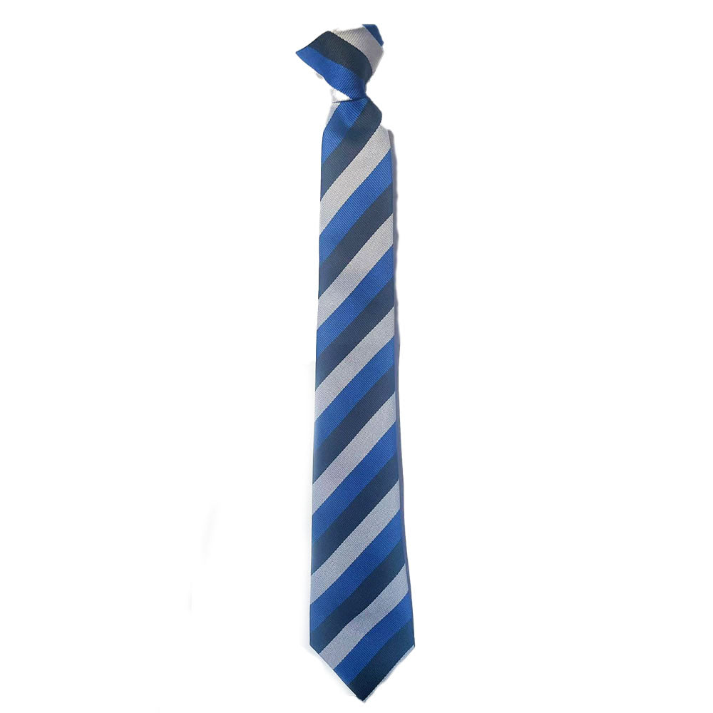 Bewdley School Striped Blue Tie for Years 9-11 – Simply School Uniform